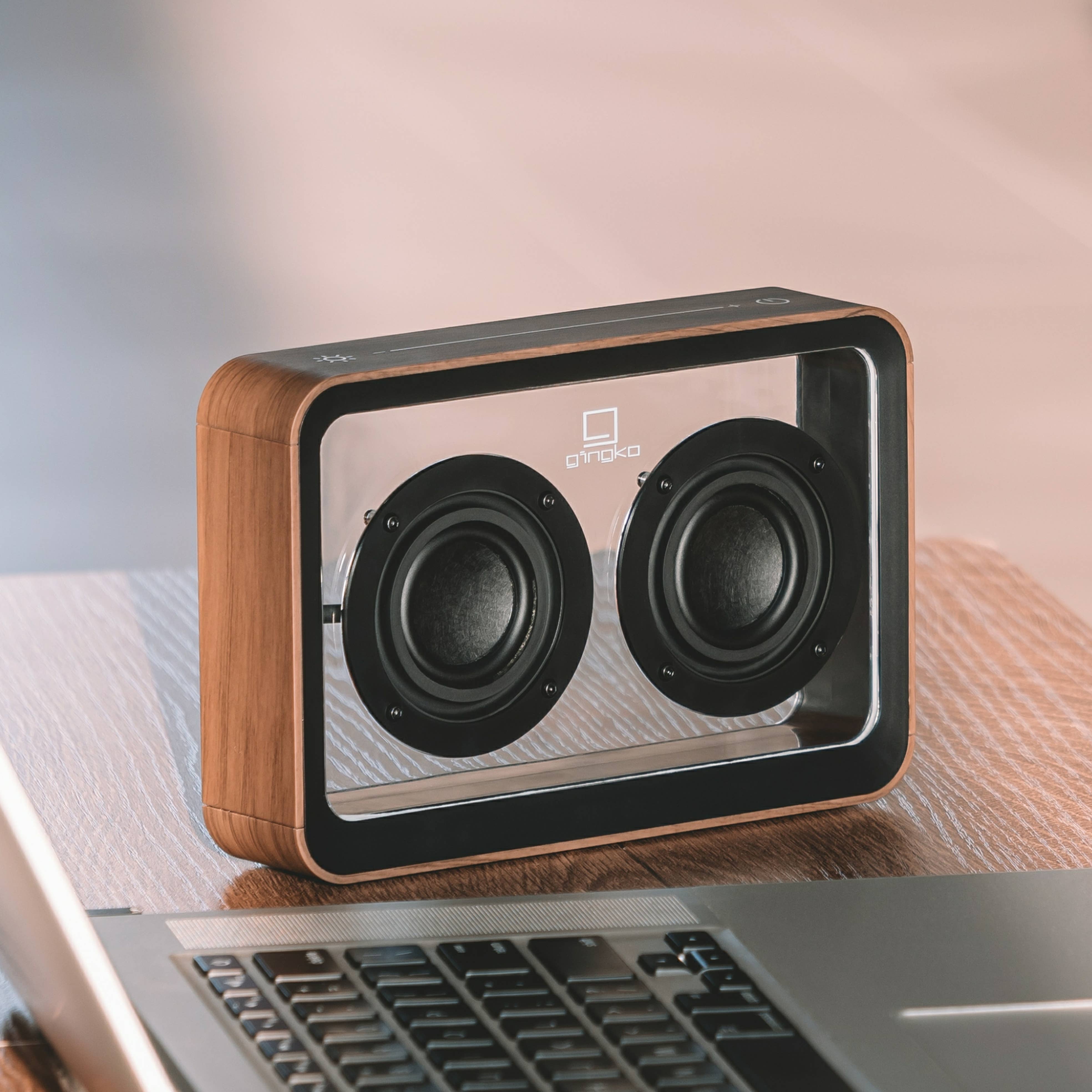 Mage See-Through Bluetooth Speaker - Walnut